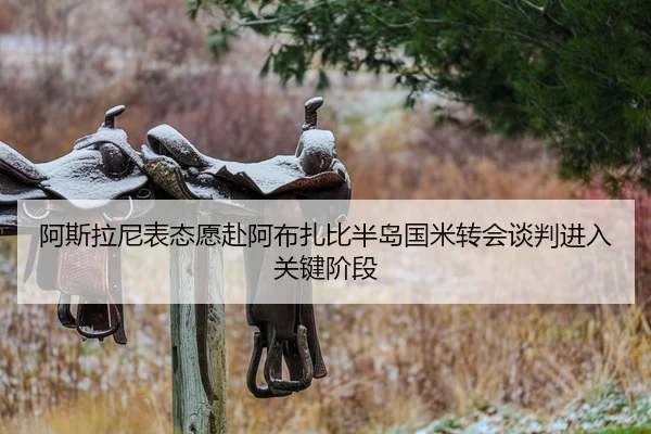 阿斯拉尼表态愿赴阿布扎比半岛国米转会谈判进入关键阶段
